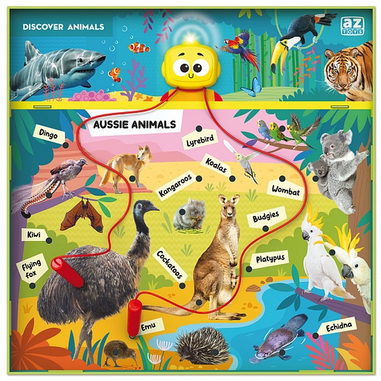 Discover Animals