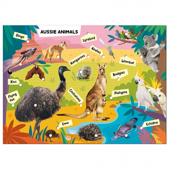 Discover Animals