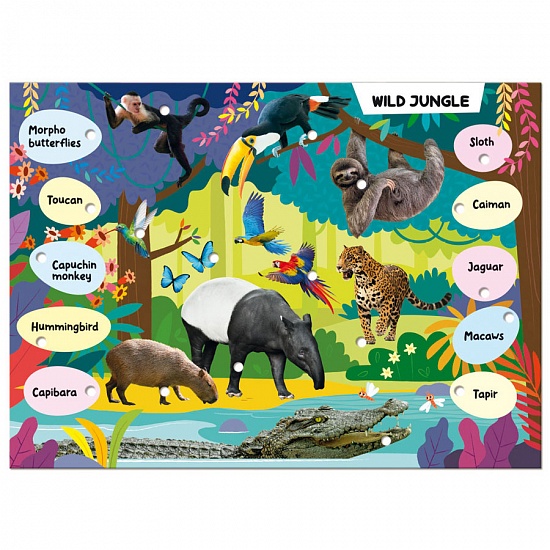 Discover Animals