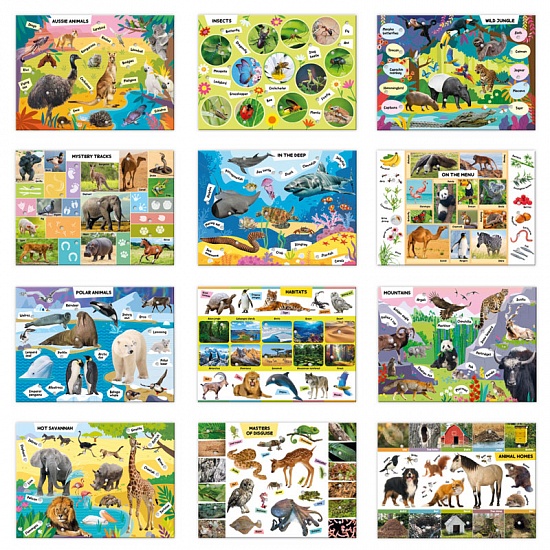 Discover Animals