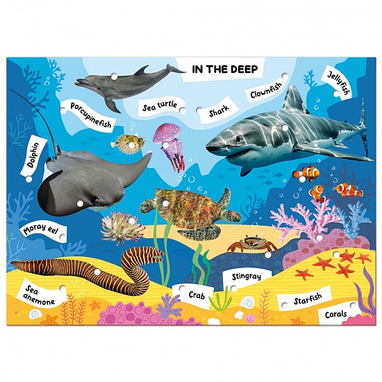 Discover Animals